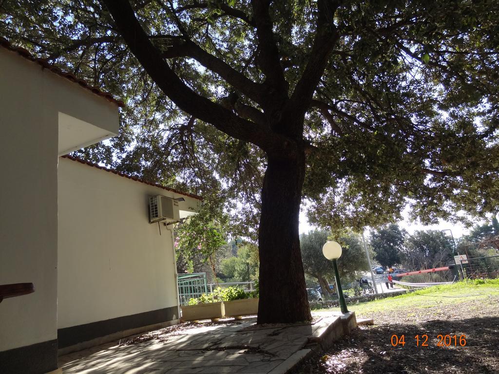 Holiday House Zorra Živogošće Exteriér fotografie