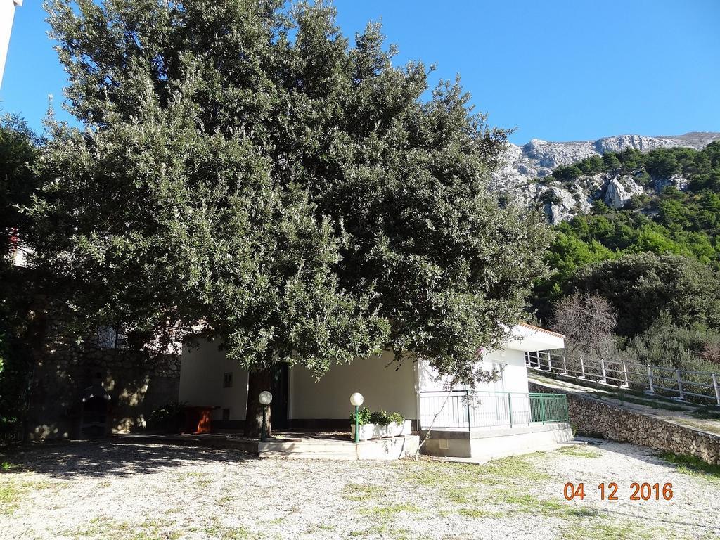 Holiday House Zorra Živogošće Exteriér fotografie